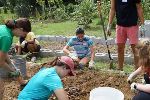 This year, 150 Austin Peay State University students volunteered at five nonprofits in the community. (APSU) This year, 150 Austin Peay State University students volunteered at five nonprofits in the community. (APSU)