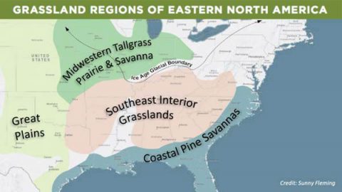 Grassland Regions of Eastern North America