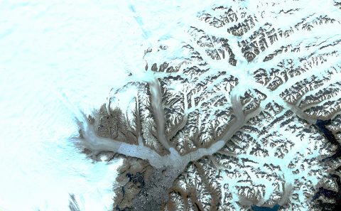 Glaciers in southeastern Greenland including, from left, Helheim, Fenris and Midgard are seen in a Landsat 8 image from August 12th, 2019. (NASA/Christopher Shuman)