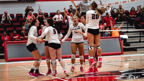 Austin Peay Women's Volleyball travels to Kentucky to take on Morehead State. (APSU Sports Information)