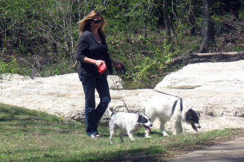 Dog ownership was associated with a 33% lower risk of death for heart attack survivors living alone and 27% reduced risk of death for stroke survivors living alone, compared to people who did not own a dog. (American Heart Association) Dog ownership was associated with a 33% lower risk of death for heart attack survivors living alone and 27% reduced risk of death for stroke survivors living alone, compared to people who did not own a dog. (American Heart Association)