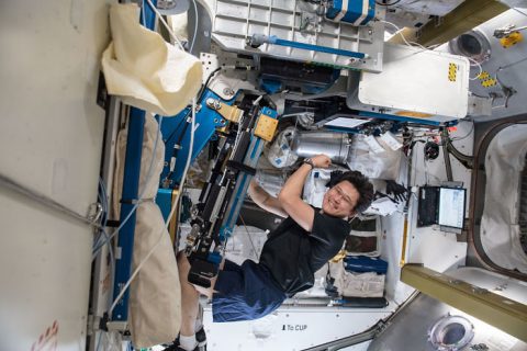 Japan Aerospace Exploration agency (JAXA) astronaut Norishige Kanai using the Advanced Resistive Exercise Device (ARED), which provides loading so that crew members experience load and maintain muscle strength and mass during long periods in space. (JAXA)