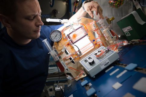 NASA astronaut Jack Fischer sets up hardware for the Capillary Structures investigation into ways to manage fluid and gas mixtures for water recycling and carbon dioxide removal. Results benefit design of lightweight, more reliable life support systems for future space missions. (NASA)