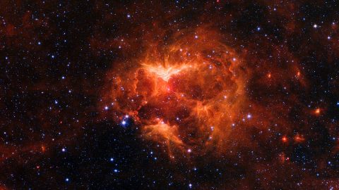 This high-contrast image from NASA's Spitzer Space telescope shows a cloud of gas and dust carved out by a massive star. The picture highlights contours in the dust as well as the densest regions of the nebula, which appear brightest. (NASA/JPL-Caltech)