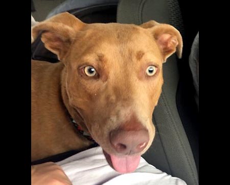 Sagley's Biker Bully Farm - Lola Sagley's Biker Bully Farm - Lola