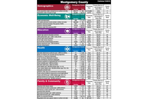 Tennessee Commission on Children and Youth Child Well-Being profile for Montgomery County.