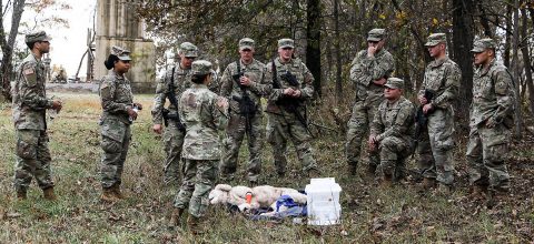 Public Health Activity Soldiers from Fort Knox, KY instruct 163rd Military Police Detachment, 716th Military Police Battalion and 101st Sustainment Brigade Soldiers how to triage and care for a wounded military working dog properly while in a deployed or austere environment, at Range 65, Fort Campbell, KY, Nov. 6. The 716th MP Bn.’s 163rd MP Det. and 510th MP Det. trained together to ensure readiness and deployability during the battalion field training exercise. (Staff Sgt. Caitlyn Byrne, 101st Sustainment Brigade Public Affairs) 