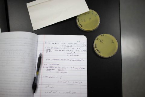 Gabrielle Rueff’s notes show how she’s working out how many phages she has “grown.” (APSU)