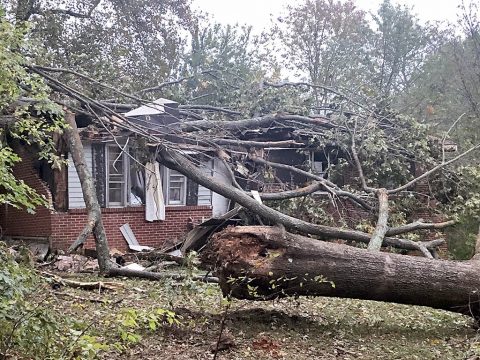 Clarksville Street Department is busy removing storm debris across the City that has been moved by residents and piled along the roadside. However, residents should know that the Department does not remove debris processed by a commercial tree-removal service.