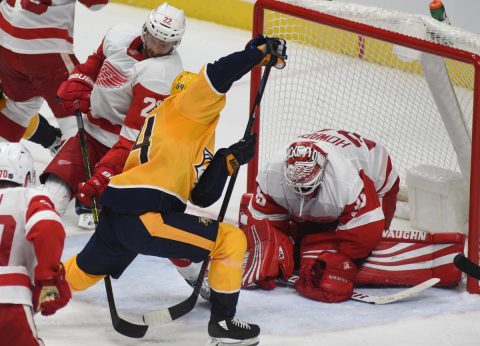 Nashville Predators Defeat Detroit Red Wings 6-1 (Michael Strasinger)