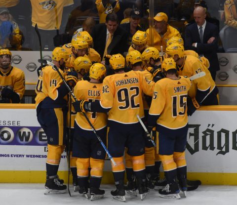 Nashville Predators Hockey 