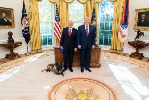 President Donald J. Trump and Vice President Mike Pence welcome Conan to the Oval Office, (Official White House Photo, Shealah Craighead)