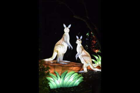 Zoolumination: Chinese Festival of Lights. (Nashville Zoo)