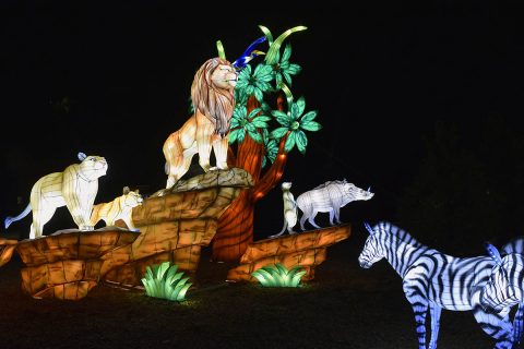 Zoolumination: Chinese Festival of Lights. (Nashville Zoo)