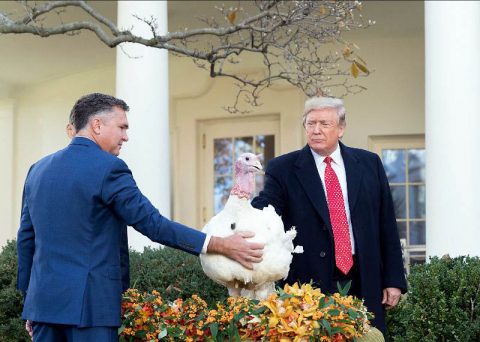 President Donald J. Trump pardons Butter in the Rose Garden of the White House. (Official White House Photo, Joyce N. Boghosian)