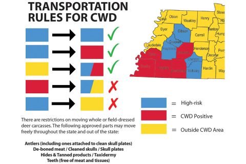 TWRA CWD Transport Graphic 6a