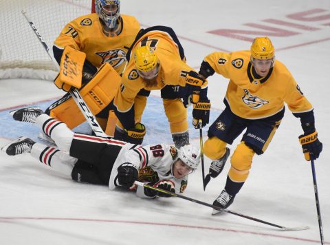 Nashville Predators Hockey