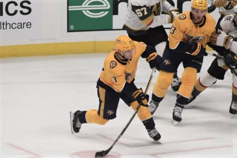 Nashville Predators Hockey