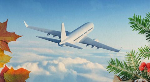 115.6 Million Travelers is an increase of 4.3 million Americans traveling this year. (AAA) 115.6 Million Travelers is an increase of 4.3 million Americans traveling this year. (AAA)