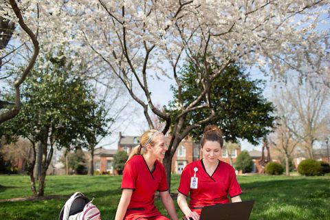 Lisa Dahin Ross Endowed Fund of Excellence in Nursing established at Austin Peay State University. (APSU)