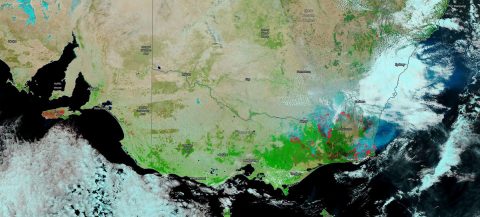 This image was taken on Jan. 13, 2020 by NOAA/NASA's Suomi NPP satellite. The image shows the fires in eastern Australia and using the VIIRS (Visible Infrared Imaging Radiometer Suite) several reflective bands have been introduced into the image to highlight areas that have been burned as well as smoke and clouds coming off the fire affected areas. Burned areas or fire-affected areas are characterized by deposits of charcoal and ash, removal of vegetation and/or the alteration of vegetation structure. Areas unaffected by fire will appear bright green. Clouds comprised of small water droplets scatter light equally in both the visible and will appear white. These clouds are usually lower to the ground and warmer. High and cold clouds are comprised of ice crystals and will appear turquoise. On the left edge of the image, Kangaroo Island can be seen. (NASA's Worldview)