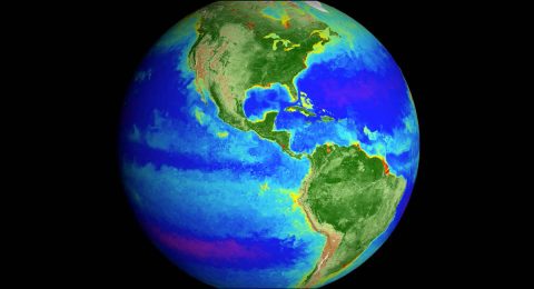 NASA scientists now have the most complete global picture of life on Earth to date. From the unique vantage point of space, NASA observes not only Earth’s landmasses and oceans but also the organisms that live among them. (NASA's Goddard Space Flight Center)