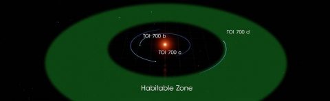 This illustration of TOI 700 d is based on several simulated environments for an ocean-covered version of the planet. (NASA's Goddard Space Flight Center) This illustration of TOI 700 d is based on several simulated environments for an ocean-covered version of the planet. (NASA's Goddard Space Flight Center)