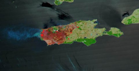 This image taken by the Terra satellite and enhanced by using correction reflectance bands on the MODIS (Moderation Resolution Imaging Spectroradiometer) highlight in brighter colors the areas on Kangaroo Island that have been burned by the bushfires in late December 2019 and early January 2020. (NASA Worldview) This image taken by the Terra satellite and enhanced by using correction reflectance bands on the MODIS (Moderation Resolution Imaging Spectroradiometer) highlight in brighter colors the areas on Kangaroo Island that have been burned by the bushfires in late December 2019 and early January 2020. (NASA Worldview)