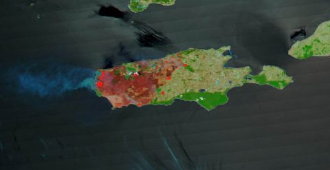 This image taken by the Terra satellite and enhanced by using correction reflectance bands on the MODIS (Moderation Resolution Imaging Spectroradiometer) highlight in brighter colors the areas on Kangaroo Island that have been burned by the bushfires in late December 2019 and early January 2020. (NASA Worldview)