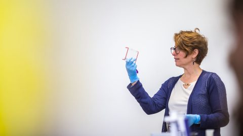 Austin Peay State University professor Dr. Mollie Cashner leads a genetics class on campus. (APSU)