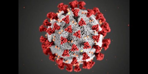 Coronavirus Coronavirus