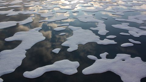 Arctic sea ice was photographed in 2011 during NASA's ICESCAPE mission, or "Impacts of Climate on Ecosystems and Chemistry of the Arctic Pacific Environment," a shipborne investigation to study how changing conditions in the Arctic affect the ocean's chemistry and ecosystems. The bulk of the research took place in the Beaufort and Chukchi seas in summer 2010 and 2011. (NASA/Kathryn Hansen)