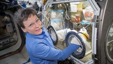 Commander Peggy Whitson works on the OsteoOmics bone cell study that uses the Microgravity Science Glovebox inside the U.S. Destiny laboratory in May 2017. OsteoOmics investigates the molecular mechanisms that dictate bone loss in microgravity by examining osteoblasts, which form bone, and osteoclasts, which dissolve bone. (NASA)