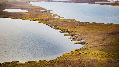 The image shows a thermokarst lake in Alaska. Thermokarst lakes form in the Arctic when permafrost thaws. (NASA/JPL-Caltech) The image shows a thermokarst lake in Alaska. Thermokarst lakes form in the Arctic when permafrost thaws. (NASA/JPL-Caltech)