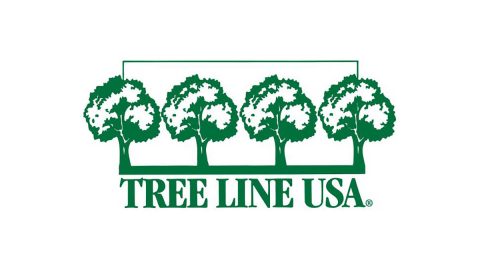 Tree Line USA