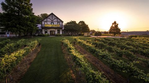 Beachaven Vineyards and Winery remains Open for Business. Beachaven Vineyards and Winery remains Open for Business.