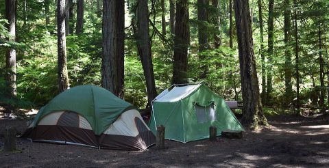 Campsites at Prentice Cooper and Franklin State Forests until further notice.