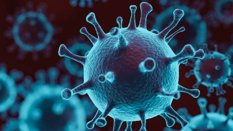 Coronavirus Coronavirus