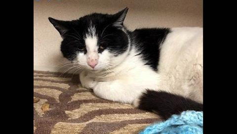 Montgomery County Animal Care and Control - Mike Montgomery County Animal Care and Control - Mike