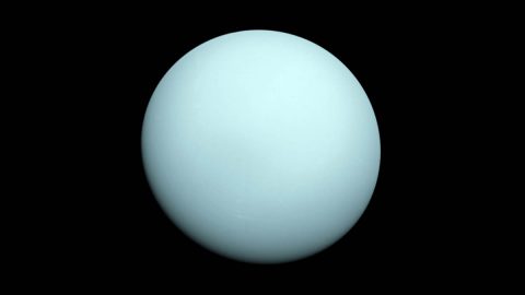 Voyager 2 took this image as it approached the planet Uranus on Jan. 14, 1986. The planet's hazy bluish color is due to the methane in its atmosphere, which absorbs red wavelengths of light. (NASA/JPL-Caltech)