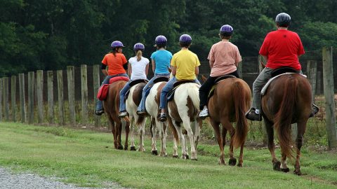 Horses have the right of way at Wrangler's Campground at Land Between the Lakes. (LBL)