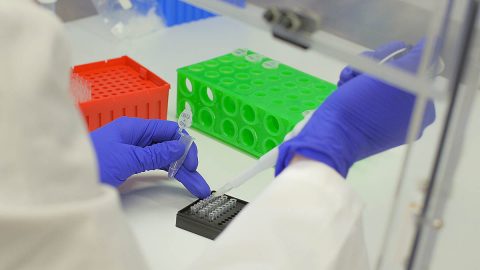 Co-Diagnostics technician sets up a plate for the CoDx Box thermocycler 