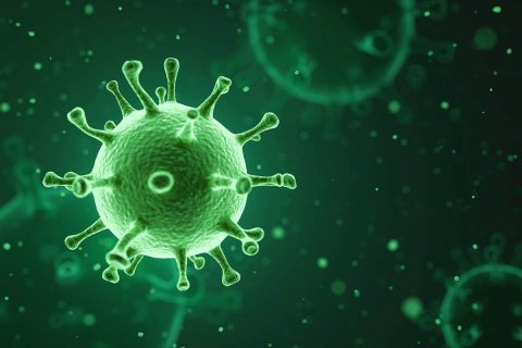 Coronavirus Coronavirus