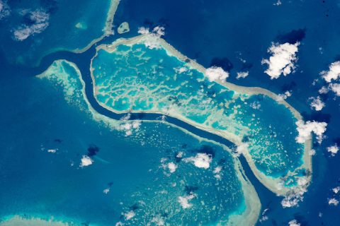 An astronaut on board the International Space Station used a powerful lens to photograph corals in Australia’s Great Barrier Reef. The photo area spans about 10 miles of the 1,700-mile reef system. (NASA)