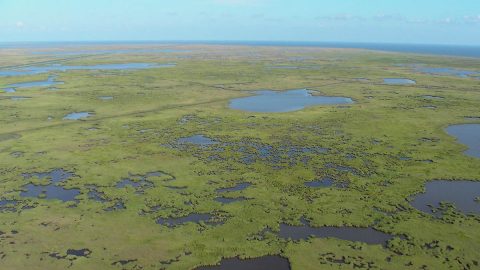 The Mississippi River Delta contains vast areas of marshes, swamps and barrier islands - important for wildlife and as protective buffers against storms and hurricanes. Rapid land subsidence due to sediment compaction and dewatering increases the rate of submergence in this system. (K.L. McKee / U.S. Geological Survey) The Mississippi River Delta contains vast areas of marshes, swamps and barrier islands - important for wildlife and as protective buffers against storms and hurricanes. Rapid land subsidence due to sediment compaction and dewatering increases the rate of submergence in this system. (K.L. McKee / U.S. Geological Survey)