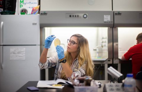 Austin Peay State University biology student Gabrielle Rueff examines a phage sample. (APSU)