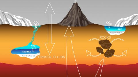 This graphic depicts paths by which carbon has been exchanged among Martian interior, surface rocks, polar caps, waters and atmosphere, and it also depicts a mechanism by which it is lost from the atmosphere. (Lance Hayashida/Caltech)