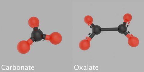 This image shows a 3D model of a carbonate molecule next to a 3D model of an oxalate molecule. The carbonate is made of a carbon atom that's bonded with three oxygen atoms. The oxalate is made of two carbon atoms bonded with four oxygen atoms. (James Tralie/NASA/Goddard Space Flight Center)