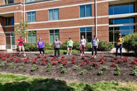 Volunteers planted around 3,600 plants on the campus of Austin Peay State University. (APSU)