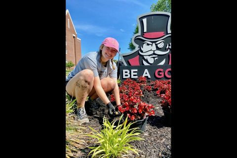 Thirty-four volunteers planted nearly 3,600 plants at Austin Peay State University over four days. (APSU)